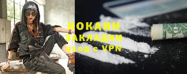 ГАЛЛЮЦИНОГЕННЫЕ ГРИБЫ Инта