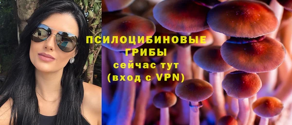 прущий лед Арсеньев