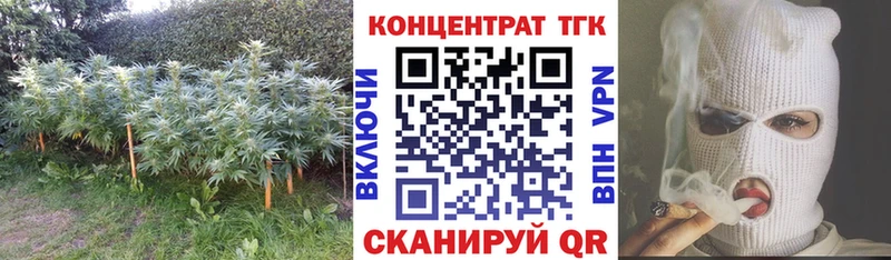 где можно купить   Аша  ТГК жижа 