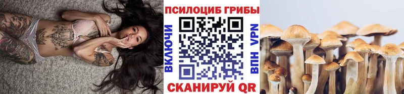 Псилоцибиновые грибы прущие грибы  даркнет сайт  Аша 