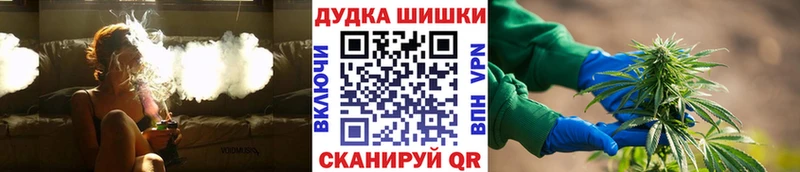 Марихуана сатива  МЕГА tor  Аша 